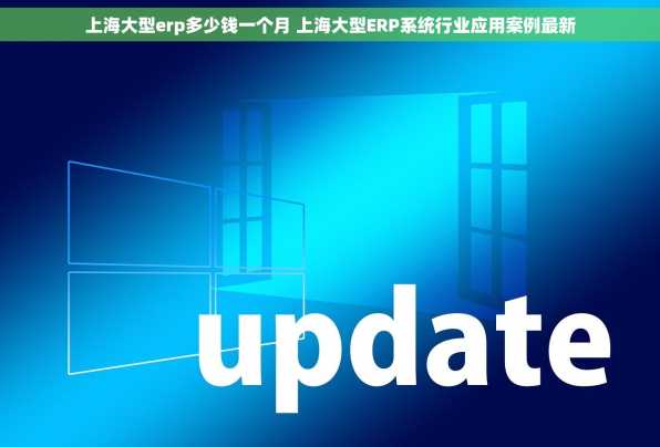 上海大型erp多少钱一个月 上海大型ERP系统行业应用案例最新