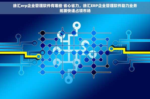 徐汇erp企业管理软件有哪些 省心省力，徐汇ERP企业管理软件助力业务拓展快速占领市场