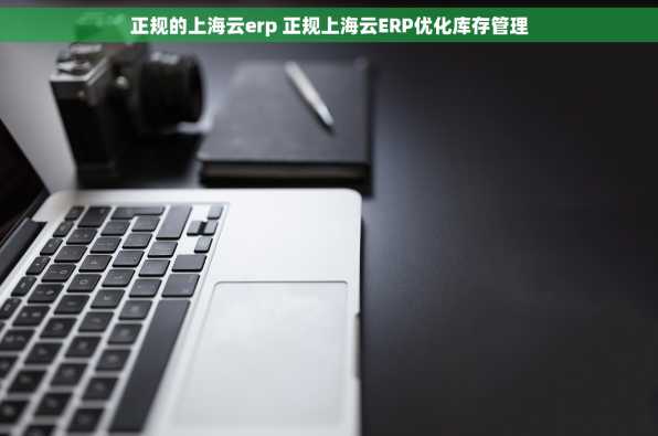 正规的上海云erp 正规上海云ERP优化库存管理