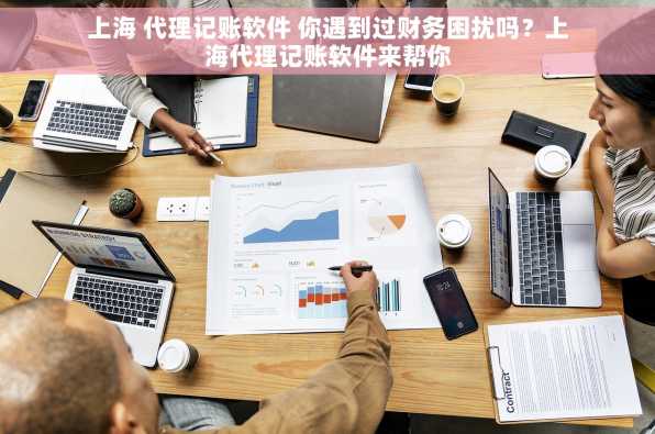 上海 代理记账软件 你遇到过财务困扰吗？上海代理记账软件来帮你