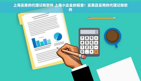 上海实惠的代理记账软件 上海小企业的福音！实惠且实用的代理记账软件