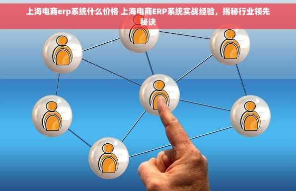 上海电商erp系统什么价格 上海电商ERP系统实战经验，揭秘行业领先秘诀