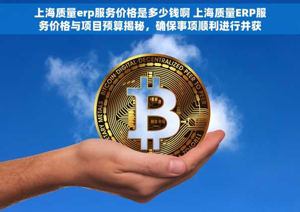 上海质量erp服务价格是多少钱啊 上海质量ERP服务价格与项目预算揭秘，确保事项顺利进行并获得售后支持