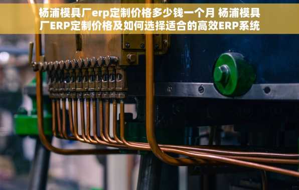 杨浦模具厂erp定制价格多少钱一个月 杨浦模具厂ERP定制价格及如何选择适合的高效ERP系统