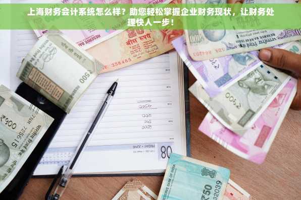 上海财务会计系统怎么样？助您轻松掌握企业财务现状，让财务处理快人一步！