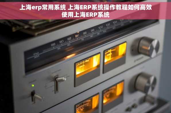 上海erp常用系统 上海ERP系统操作教程如何高效使用上海ERP系统