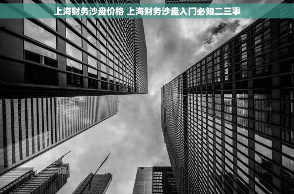 上海财务沙盘价格 上海财务沙盘入门必知二三事