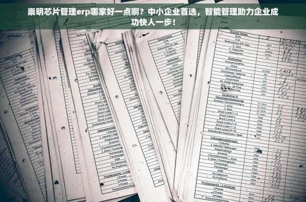 崇明芯片管理erp哪家好一点啊？中小企业首选，智能管理助力企业成功快人一步！