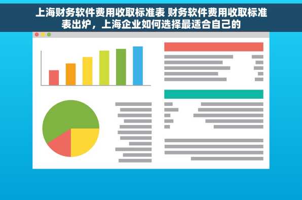 上海财务软件费用收取标准表 财务软件费用收取标准表出炉，上海企业如何选择最适合自己的