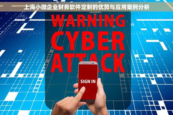 上海小微企业财务软件定制的优势与应用案例分析