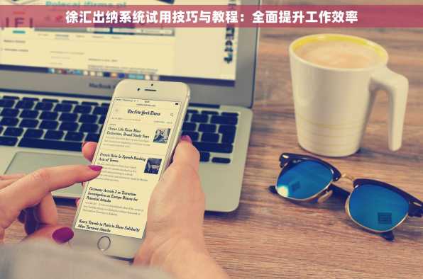 徐汇出纳系统试用技巧与教程：全面提升工作效率