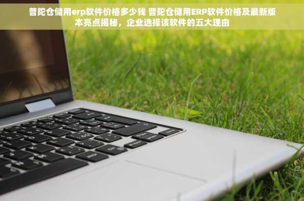 普陀仓储用erp软件价格多少钱 普陀仓储用ERP软件价格及最新版本亮点揭秘，企业选择该软件的五大理由