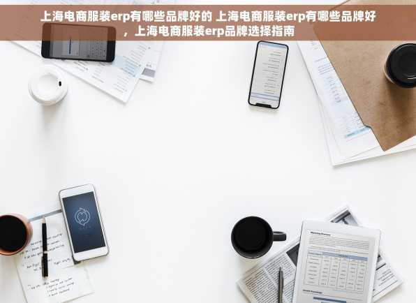 上海电商服装erp有哪些品牌好的 上海电商服装erp有哪些品牌好，上海电商服装erp品牌选择指南