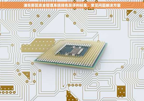 浦东新区资金管理系统排名及评判标准，常见问题解决方案