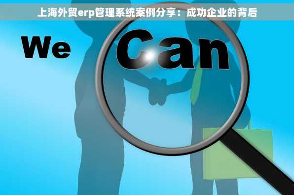 上海外贸erp管理系统案例分享：成功企业的背后