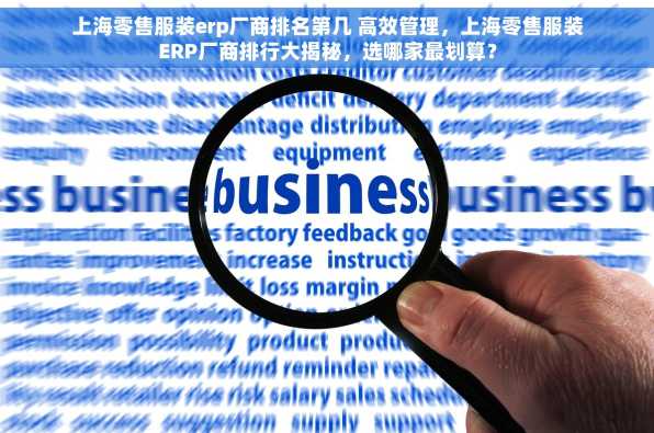 上海零售服装erp厂商排名第几 高效管理，上海零售服装ERP厂商排行大揭秘，选哪家最划算？