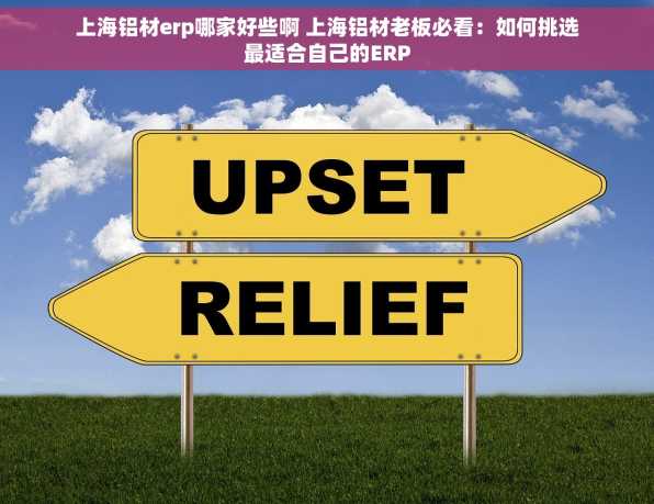 上海铝材erp哪家好些啊 上海铝材老板必看：如何挑选最适合自己的ERP