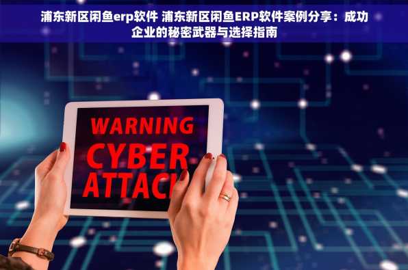 浦东新区闲鱼erp软件 浦东新区闲鱼ERP软件案例分享：成功企业的秘密武器与选择指南