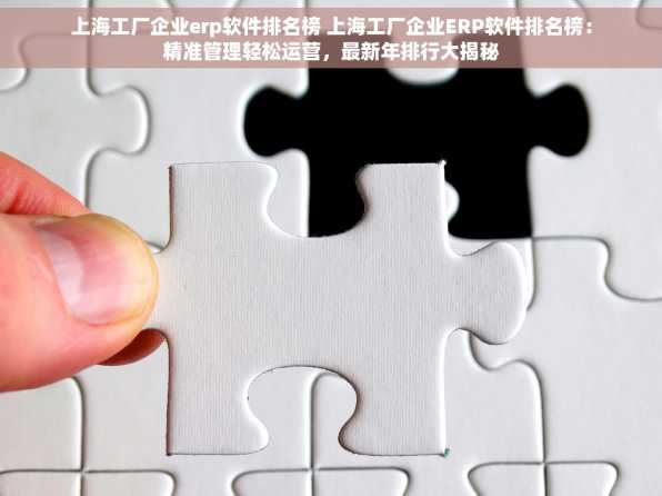 上海工厂企业erp软件排名榜 上海工厂企业ERP软件排名榜：精准管理轻松运营，最新年排行大揭秘