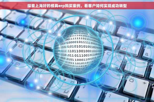 探索上海好的模具erp购买案例，看客户如何实现成功转型
