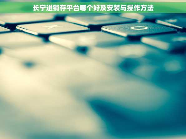 长宁进销存平台哪个好及安装与操作方法