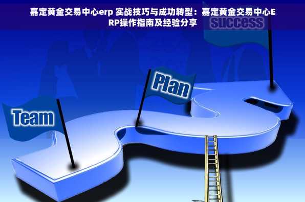 嘉定黄金交易中心erp 实战技巧与成功转型：嘉定黄金交易中心ERP操作指南及经验分享