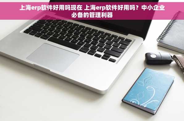 上海erp软件好用吗现在 上海erp软件好用吗？中小企业必备的管理利器