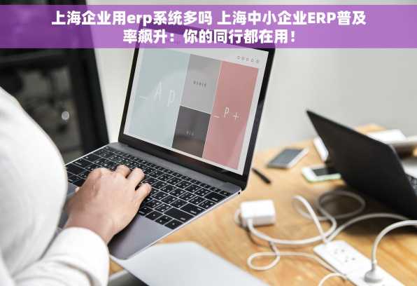 上海企业用erp系统多吗 上海中小企业ERP普及率飙升：你的同行都在用！