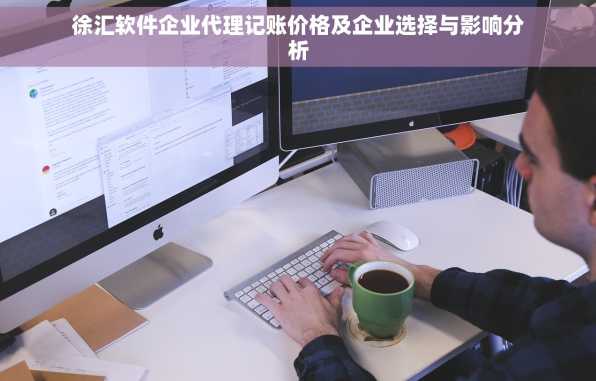 徐汇软件企业代理记账价格及企业选择与影响分析