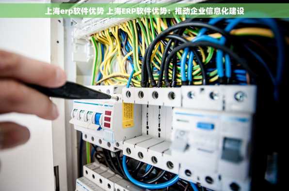 上海erp软件优势 上海ERP软件优势：推动企业信息化建设
