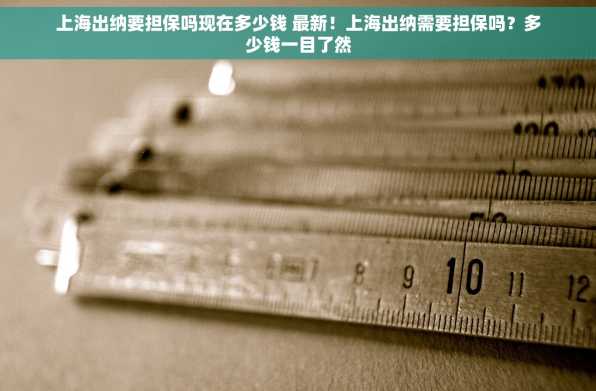 上海出纳要担保吗现在多少钱 最新！上海出纳需要担保吗？多少钱一目了然