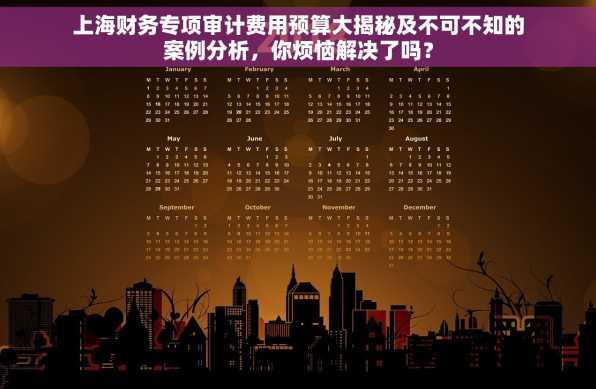 上海财务专项审计费用预算大揭秘及不可不知的案例分析，你烦恼解决了吗？