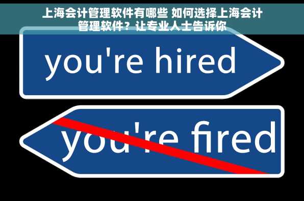 上海会计管理软件有哪些 如何选择上海会计管理软件？让专业人士告诉你