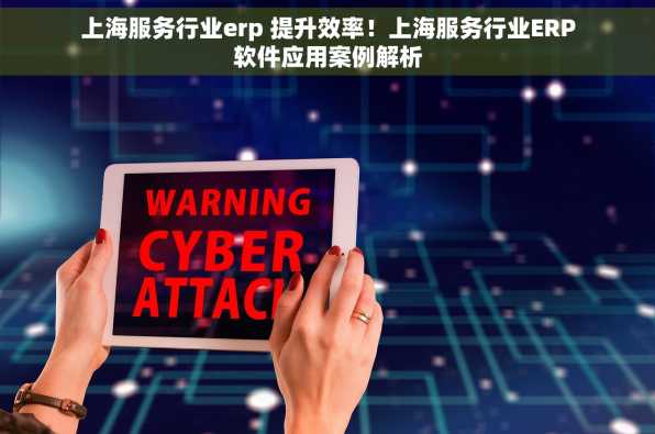 上海服务行业erp 提升效率！上海服务行业ERP软件应用案例解析