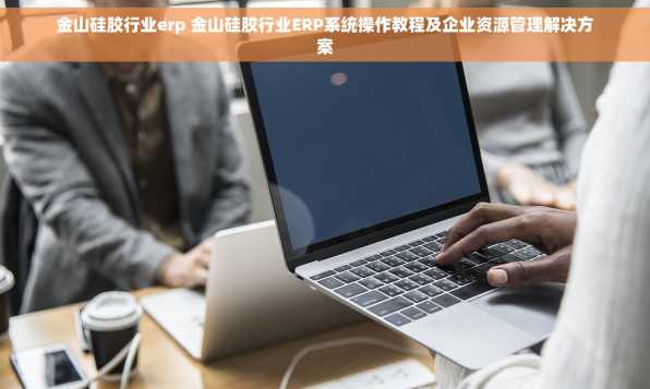 金山硅胶行业erp 金山硅胶行业ERP系统操作教程及企业资源管理解决方案