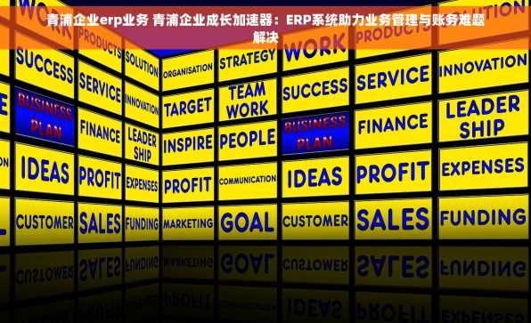 青浦企业erp业务 青浦企业成长加速器：ERP系统助力业务管理与账务难题解决
