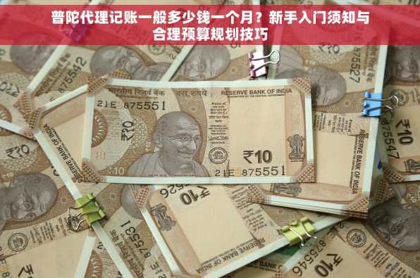 普陀代理记账一般多少钱一个月？新手入门须知与合理预算规划技巧