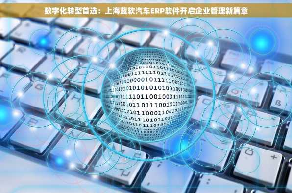 数字化转型首选：上海蓝软汽车ERP软件开启企业管理新篇章