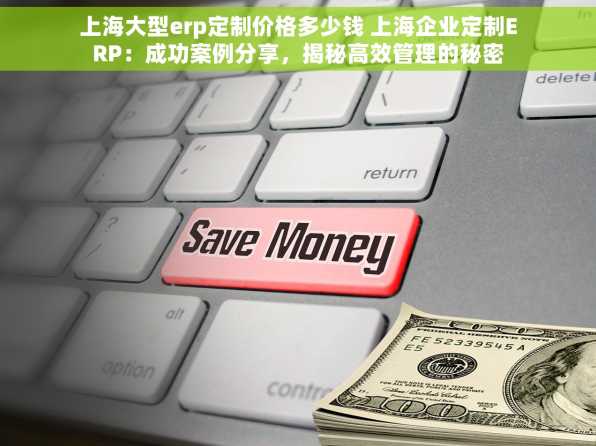 上海大型erp定制价格多少钱 上海企业定制ERP：成功案例分享，揭秘高效管理的秘密