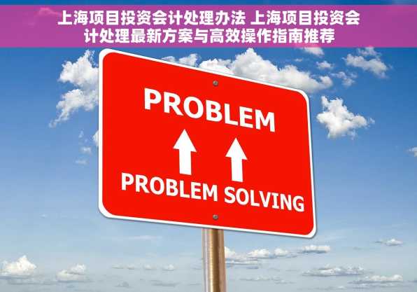 上海项目投资会计处理办法 上海项目投资会计处理最新方案与高效操作指南推荐