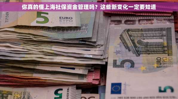 你真的懂上海社保资金管理吗？这些新变化一定要知道