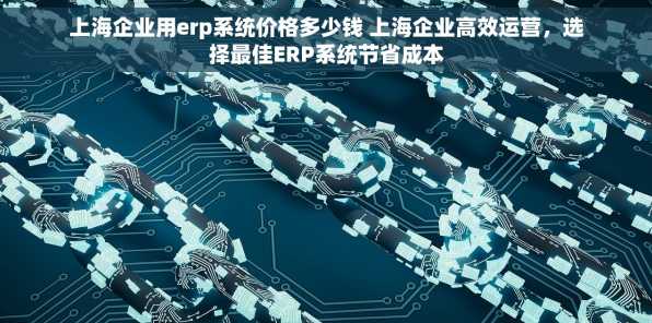 上海企业用erp系统价格多少钱 上海企业高效运营，选择最佳ERP系统节省成本