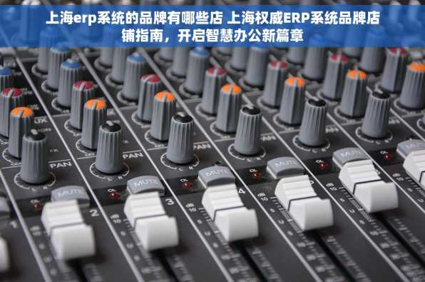 上海erp系统的品牌有哪些店 上海权威ERP系统品牌店铺指南，开启智慧办公新篇章