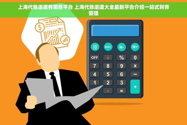 上海代账渠道有哪些平台 上海代账渠道大全最新平台介绍一站式财务管理