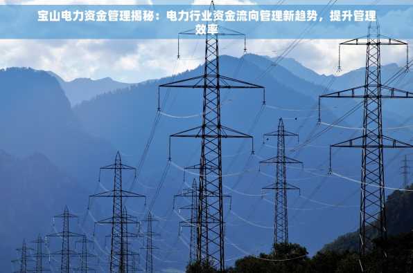 宝山电力资金管理揭秘：电力行业资金流向管理新趋势，提升管理效率