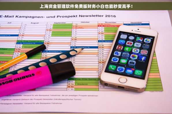 上海资金管理软件免费版财务小白也能秒变高手！