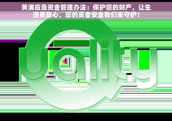 黄浦应急资金管理办法：保护您的财产，让生活更放心，您的资金安全我们来守护！