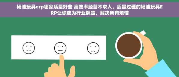 杨浦玩具erp哪家质量好些 高效率经营不求人，质量过硬的杨浦玩具ERP让你成为行业翘楚，解决所有烦恼