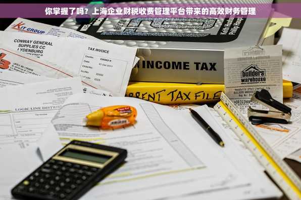 你掌握了吗？上海企业财税收费管理平台带来的高效财务管理