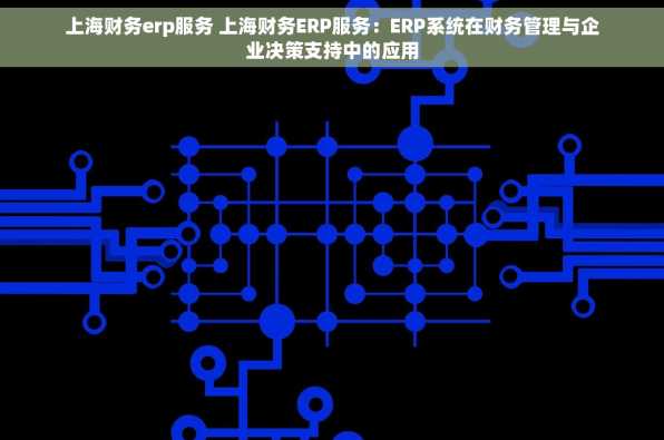 上海财务erp服务 上海财务ERP服务：ERP系统在财务管理与企业决策支持中的应用